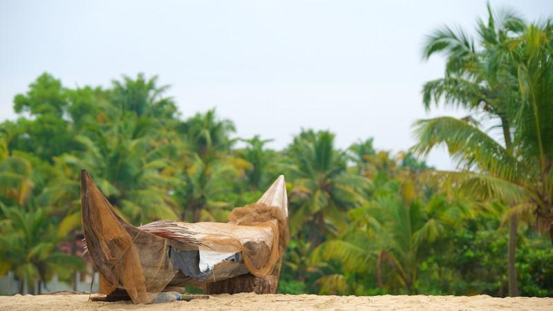 Marari Das Beach Villa Mararikulam Ngoại thất bức ảnh