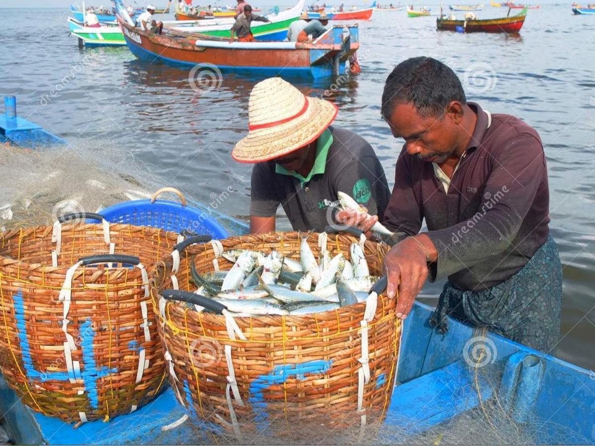 Marari Das Beach Villa Mararikulam Ngoại thất bức ảnh