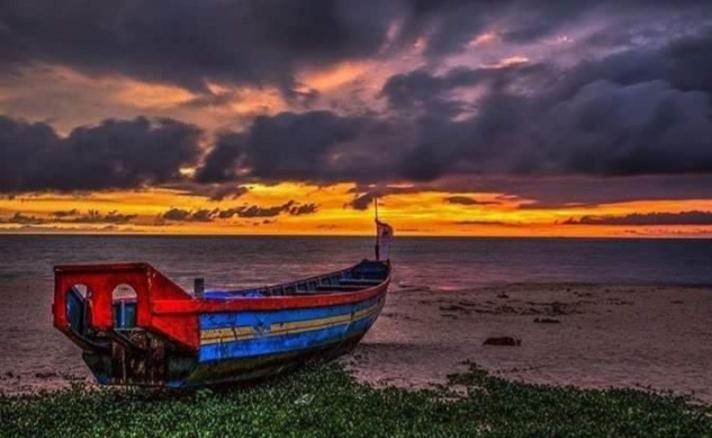 Marari Das Beach Villa Mararikulam Ngoại thất bức ảnh